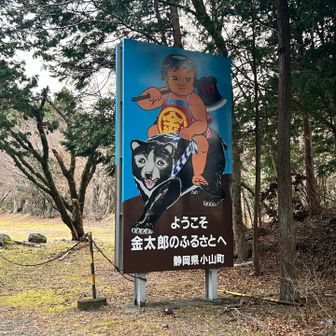 南足柄は金太郎のふるさと🪓
でも熊さんはでないでね🐻