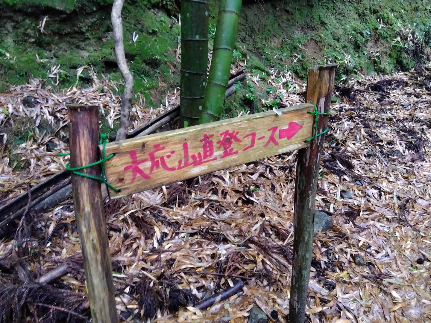 もちろん直登コース😆