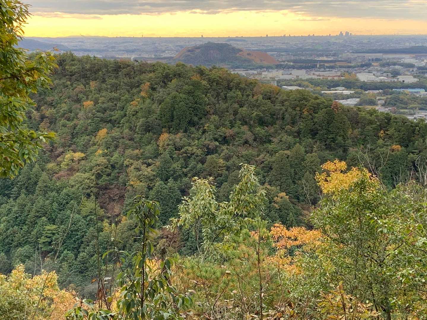 桐谷坂峠-向山-須衛山 往復コースの写真