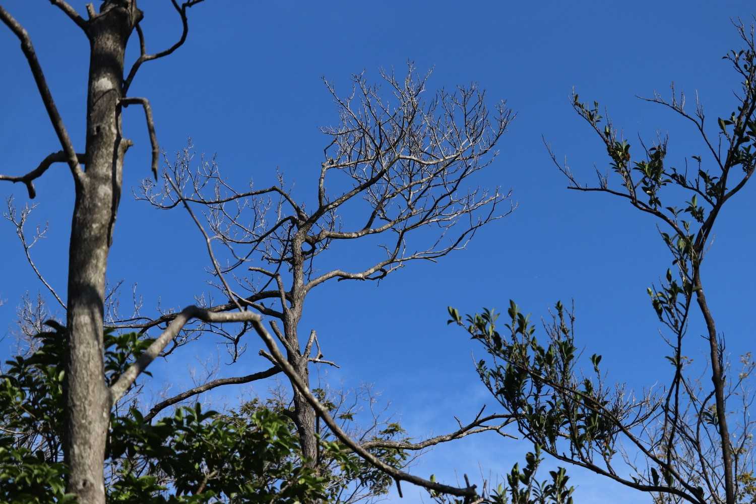 青空　暑くなりそう