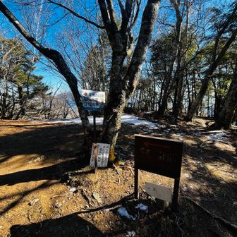 山頂かと思ったらあと少し🤏