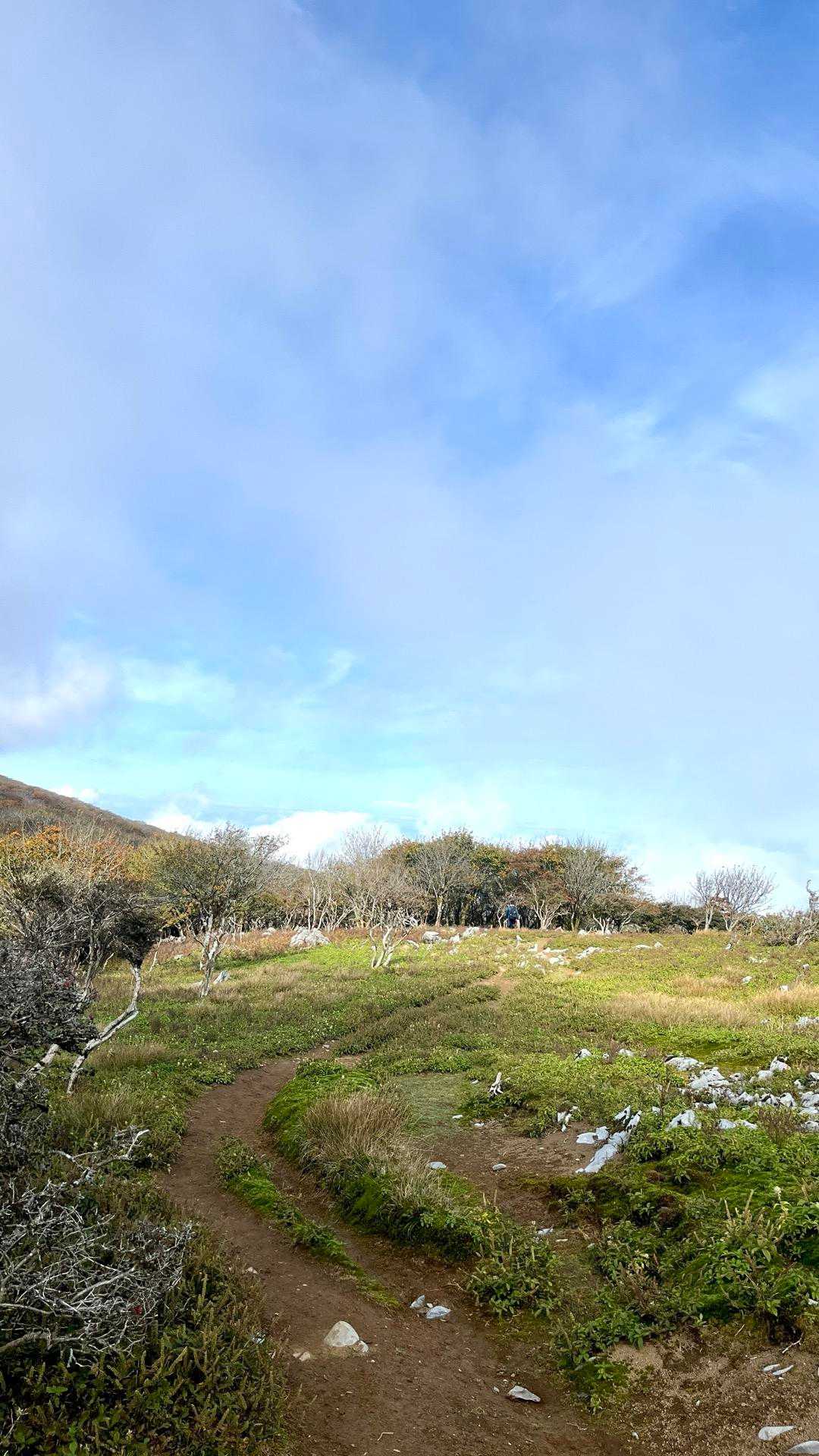 御池岳登山道コグルミ谷登山口-天ヶ平-荷ヶ岳 -白瀬峠-頭 往復コースの写真
