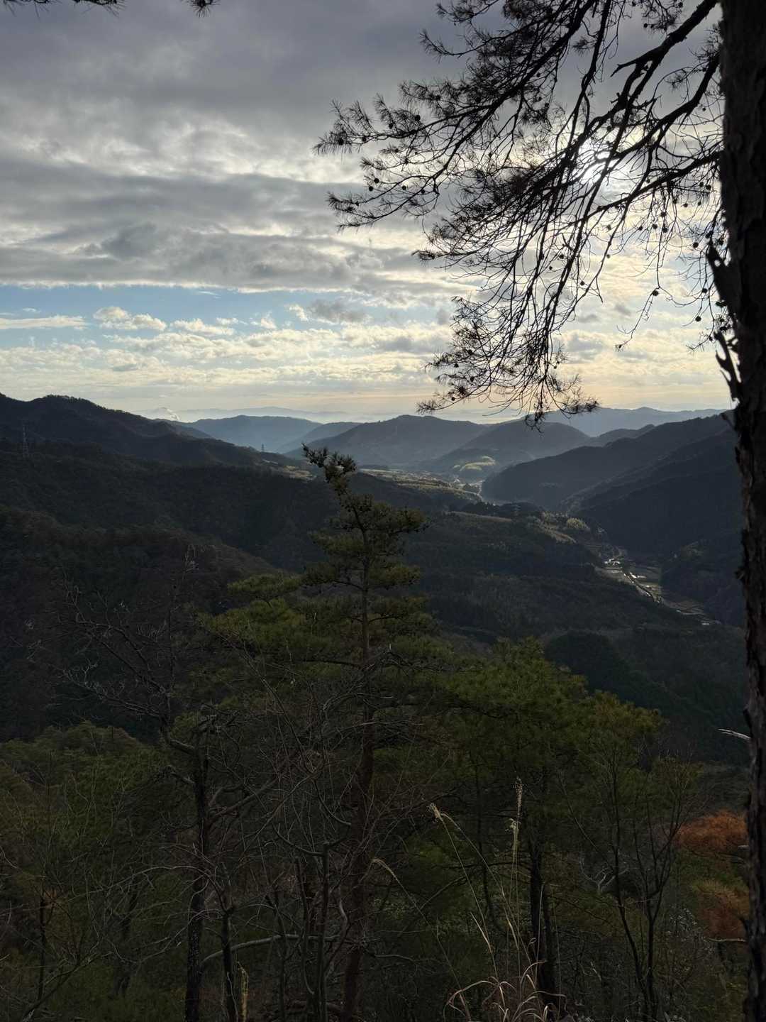弥山-柏木山 往復コースの写真