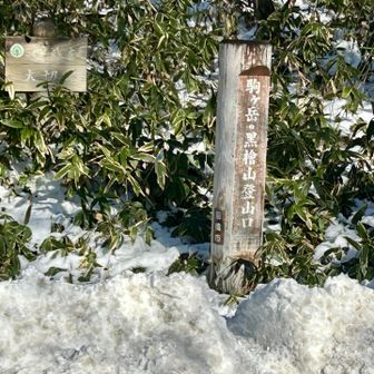 登山口に到着しました。