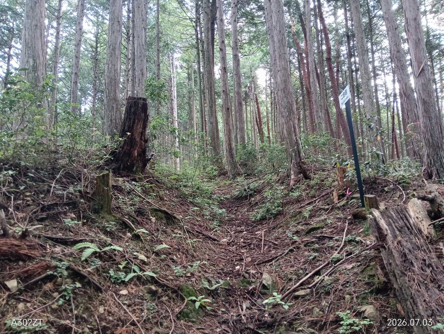 二合目に😃