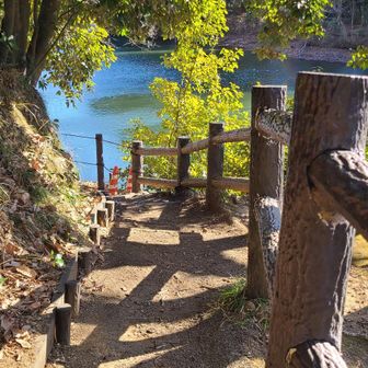 いい感じの遊歩道