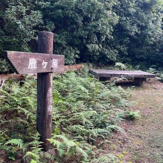 快適なベンチでした。