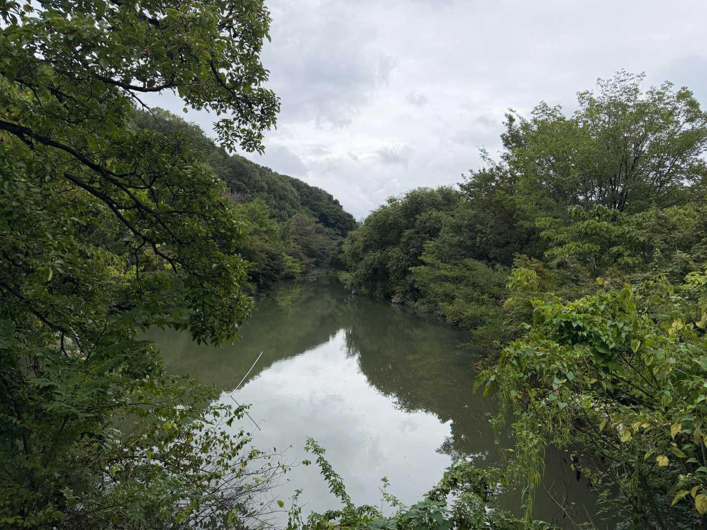 三井山登山口-三井山-ふれあいの丘 往復コースの写真