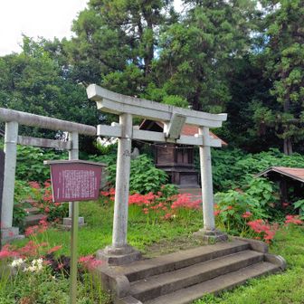 諏訪神社富士塚