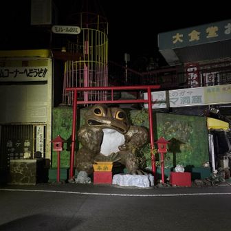 暗闇のガマ
おはよーございます