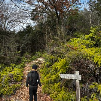こちらから茶白山へ