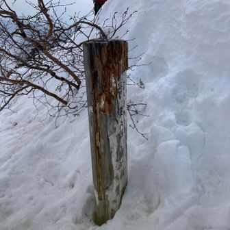 宿のチェックイン時間あるので急ぎめで下山