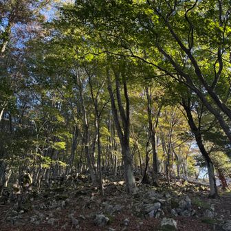 白い岩が増えてくる！
