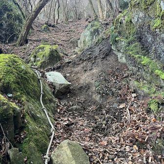 岩の横を登ります