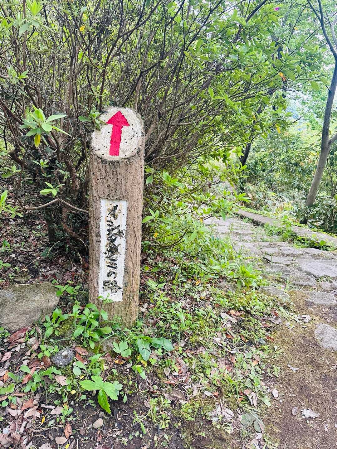 あとは
下山のみ
