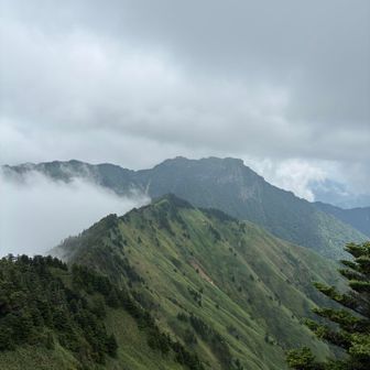 この稜線を歩いて石鎚山まで行ってみたい。
まだまだ修行が足りません。