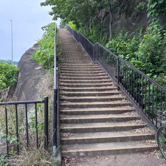 さ、第2ラウンド。
再び阿武山を登る💪✨