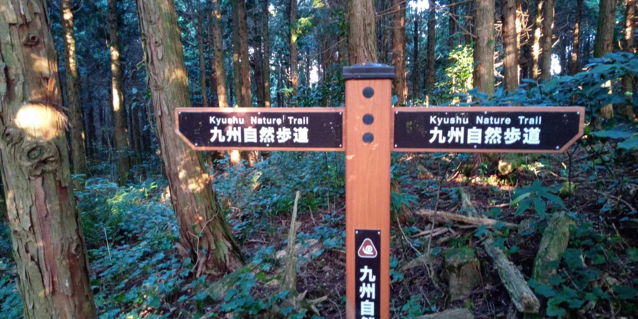 女山登山口-女山 往復コースの写真