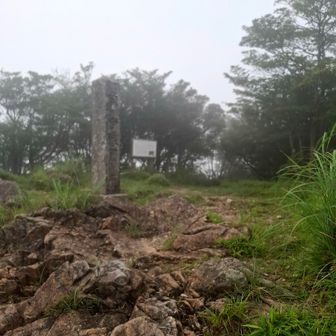 眺望ないんで、早々に下山する