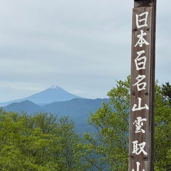 ミヤマザクラを愛でに念願の雲取山へ / ツッキー15の登山データ