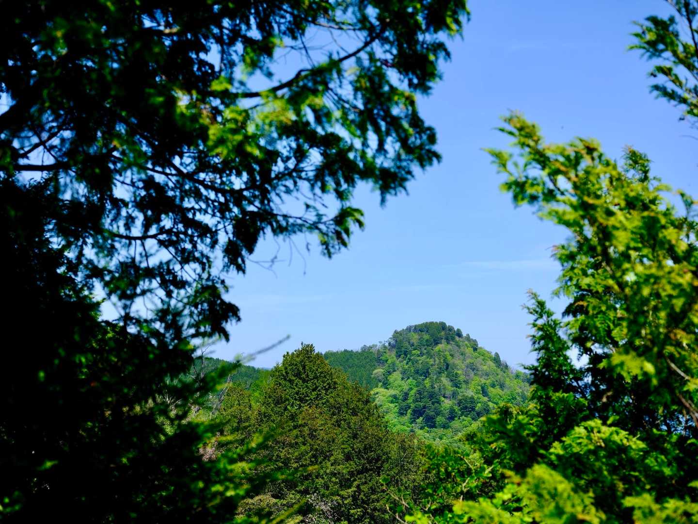 あれは大岳山