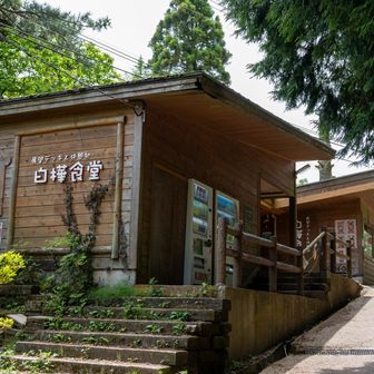 休業日でした
