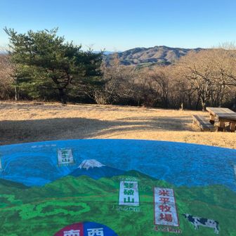 なんと富士山が見えるそうな