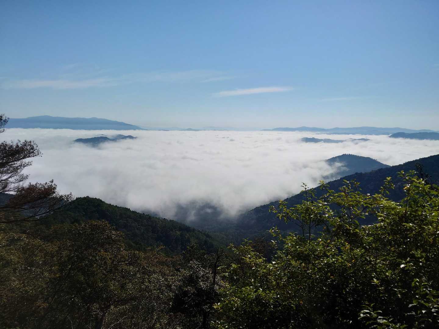 金輪寺-半国山 往復コースの写真