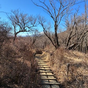 木道と富士山🗻