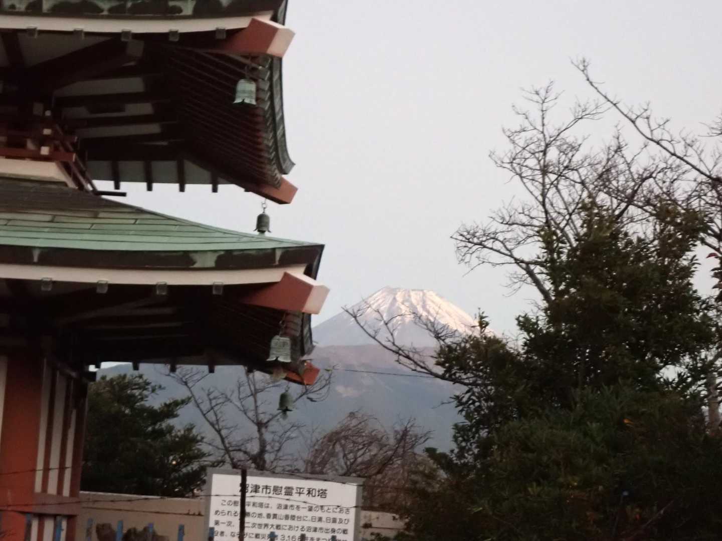 ふじさ～ん👋