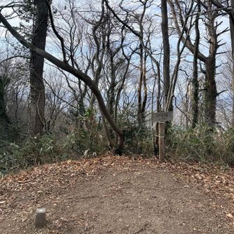 鷹討山山頂