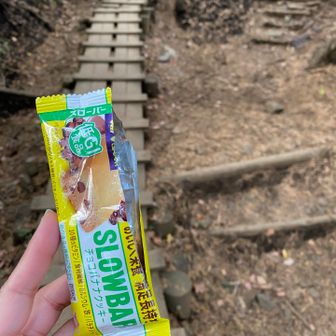 1時間前に補給したのにカロリー不足を感じて駒止で歩きながら食べた