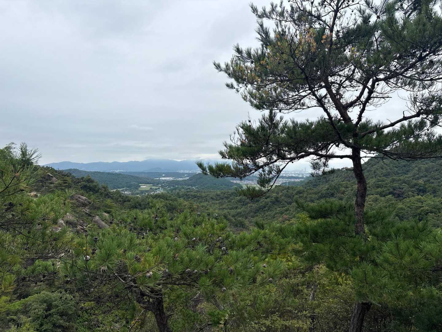 上桐生登山口-天狗岩 周回コースの写真