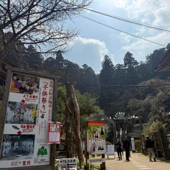 ちはや園地に向かいます。
