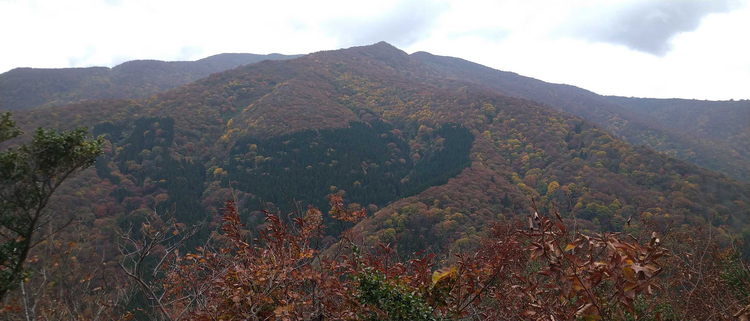 大蔵山⛰️
このコースで菅名岳⛰️も歩きたいなー😆