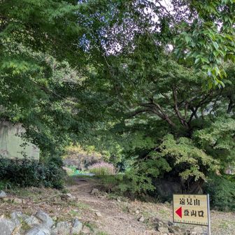 納古山からこっちに向かってる空羽さんの逆走
会えるとこまで行こうか、ひとりで納古山まで行こうか
(･･*悩)｡｡oＯ