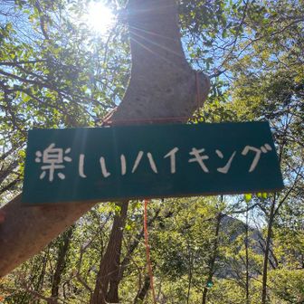 手書きの看板もたくさん🙌