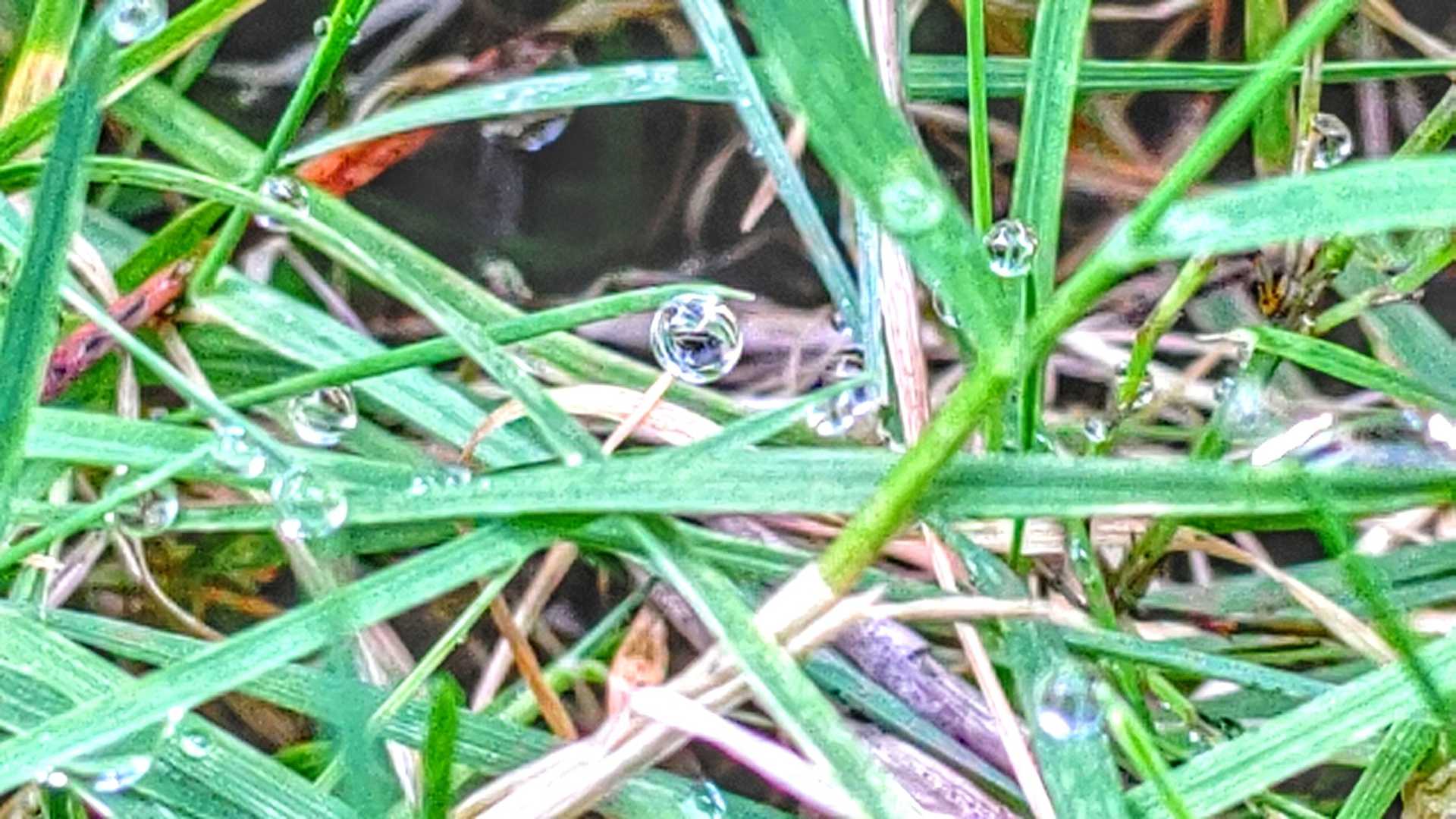 雫✨キラキラ✨ 