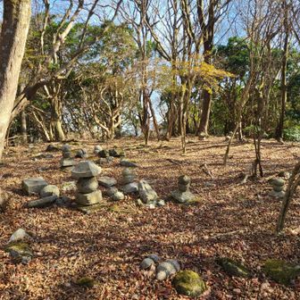 なんだろう…🤔💭