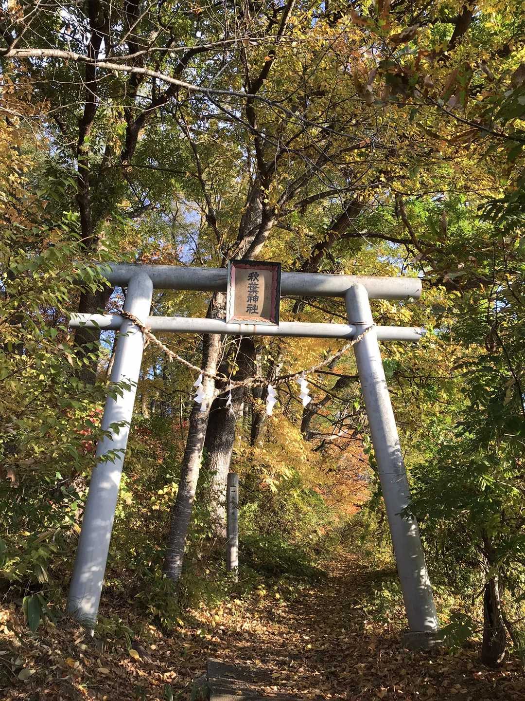 まずは秋葉山⛰に登ります