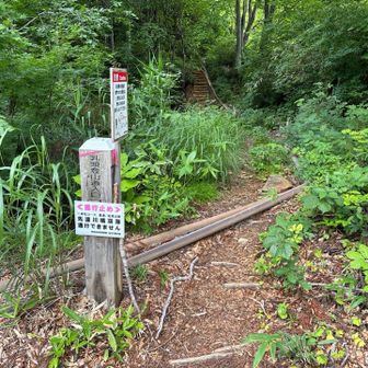 ここの登山口も通行止めの表示もこのルートは通れます