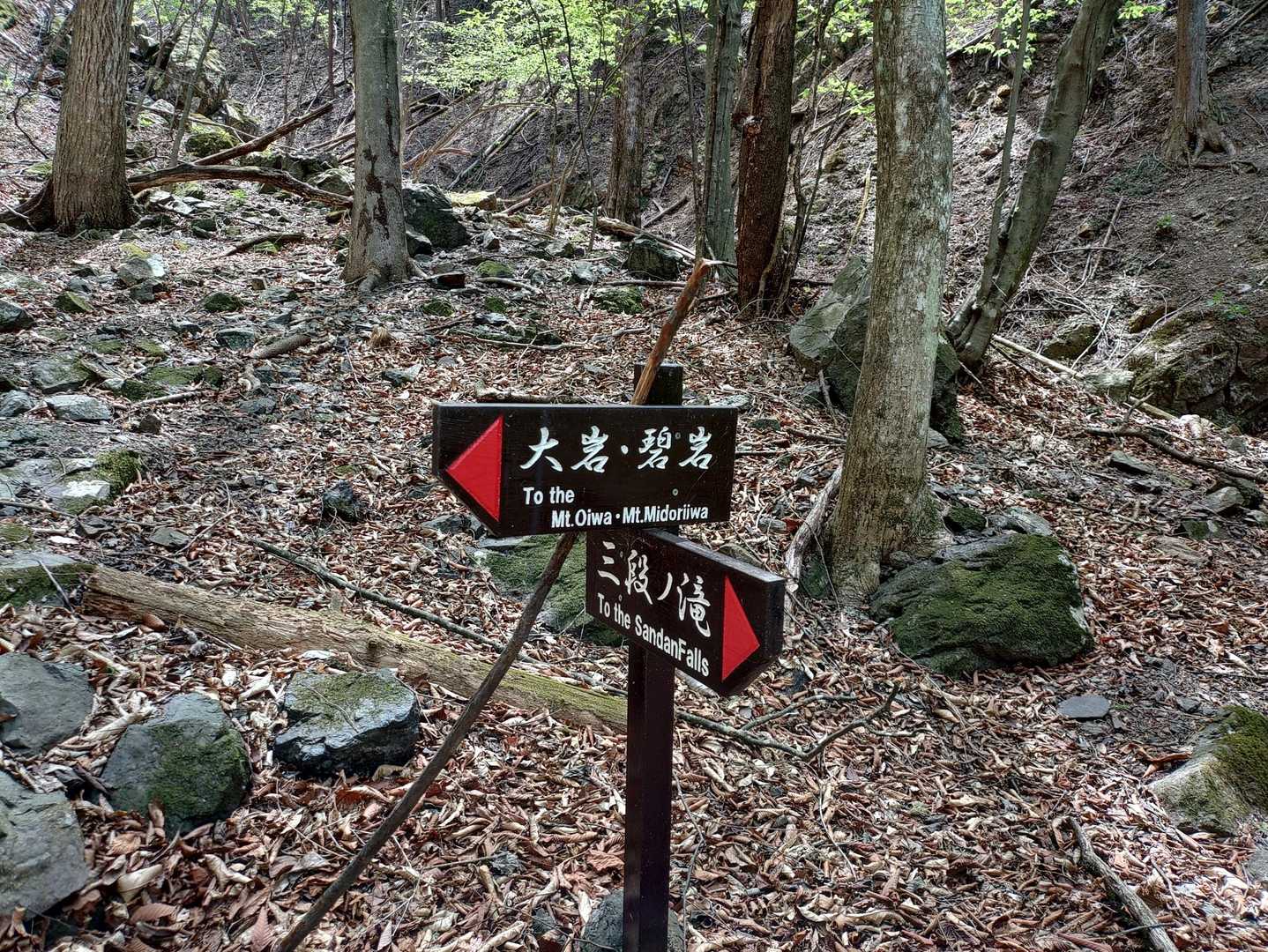 沢沿いルートは終わり
この道標から尾根に上がるまで急登が続きます