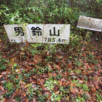 男鈴山山頂
