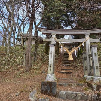 山頂へ続く登り階段を前に
厳かな鳥居とお馬さん

雰囲気いいですね