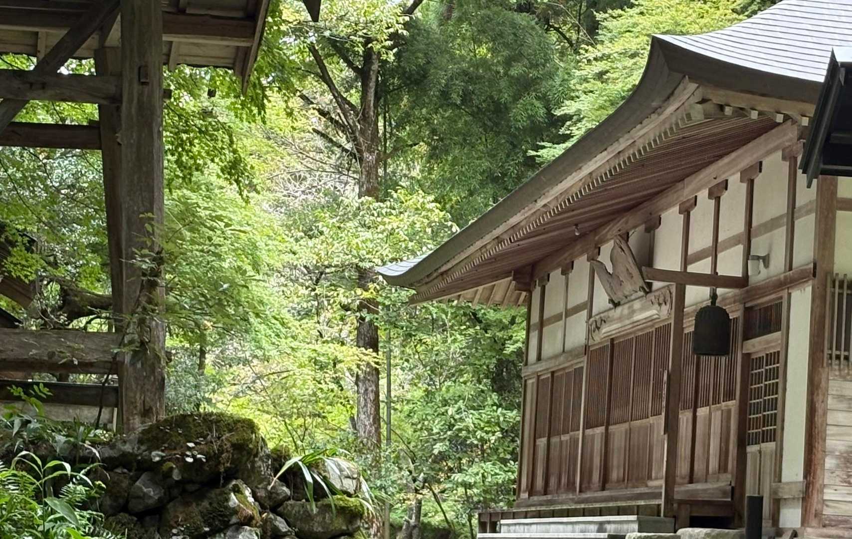 柵を開けて