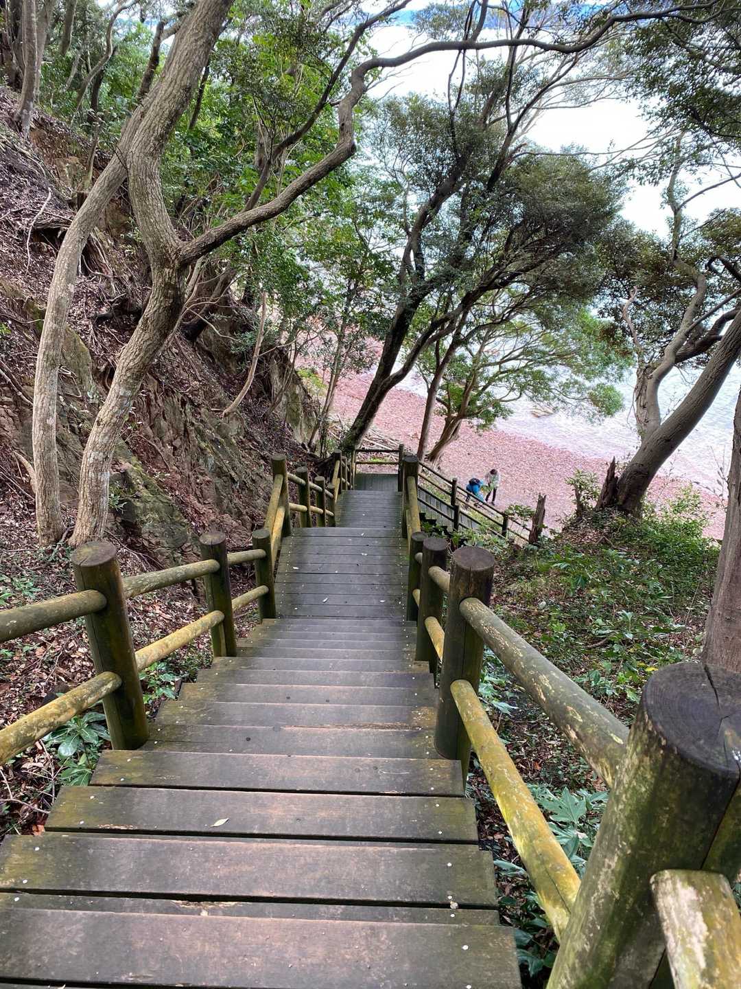 海岸に降りられます