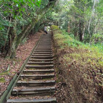 さらに、階段が続きます。