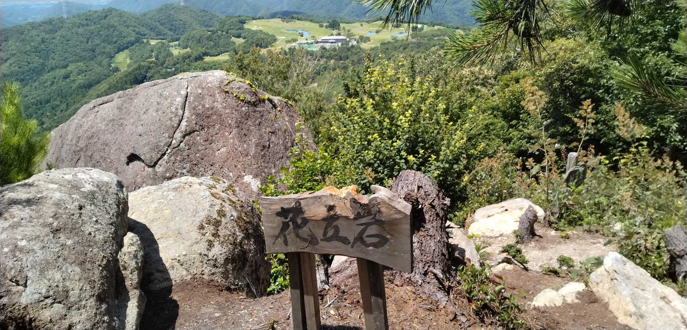 すぐに不整地に。🐕‍🦺かいるので慎重に。苔が生えているところがあるのでこけないように。