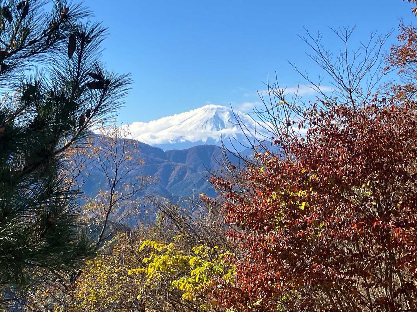 倉岳山 | 秀麗富嶽十二景の2座を結ぶ絶景ルート。中央線の駅と駅を結ぶ縦走路の写真