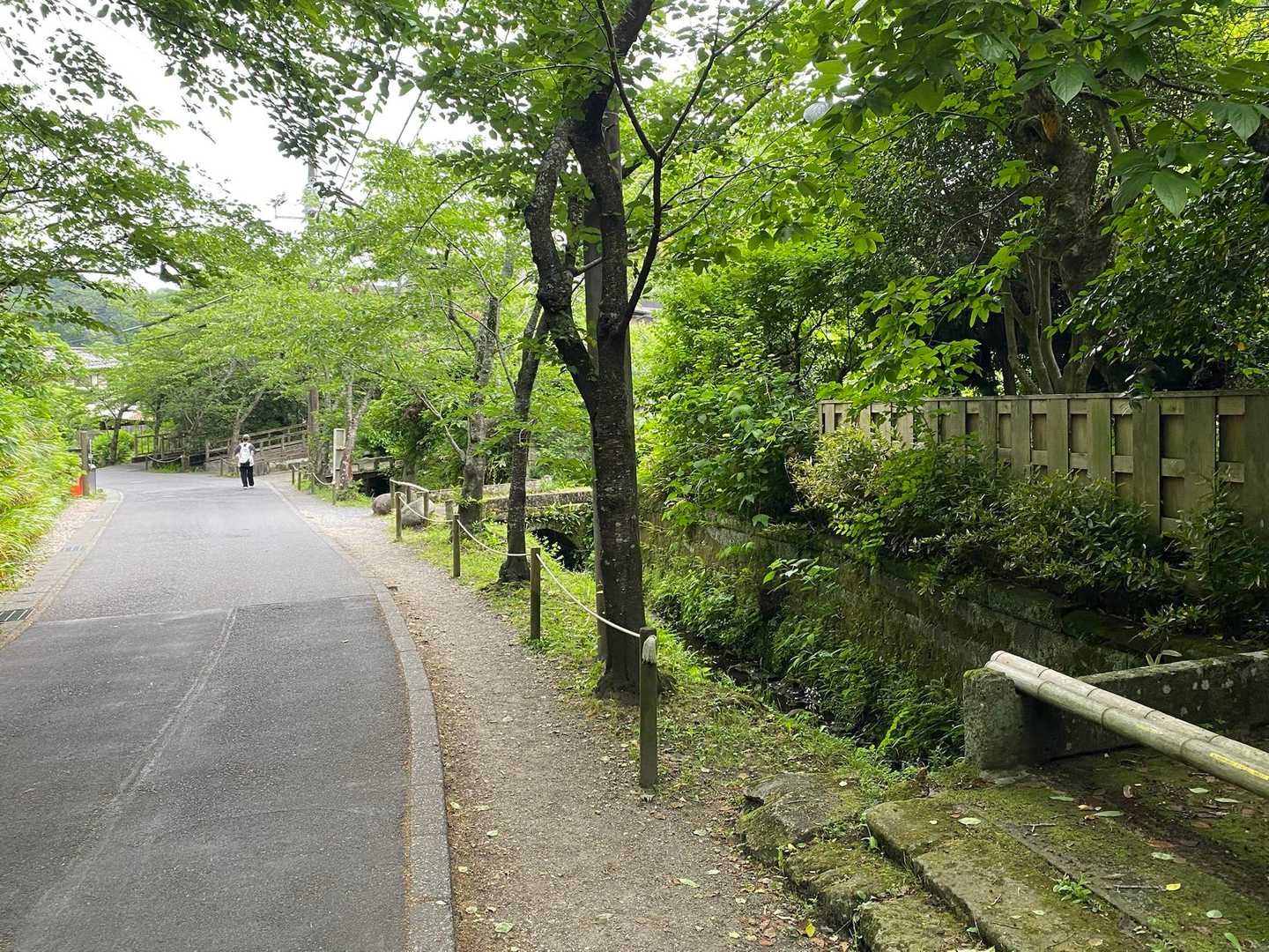 明月院通りを北鎌倉駅へ🚶